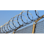 Razor Wire 450mm - Image 3