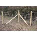 Strainer Post 2022 - Image 2