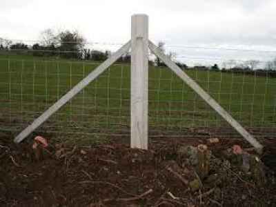 Support post 2022 - Image 2