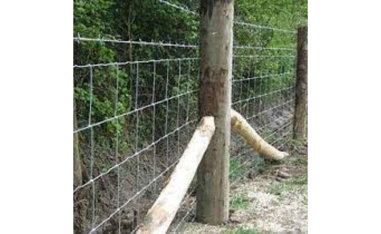 post 2022 - BigTech CCTV